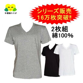 2枚組 インナーTシャツ メンズ インナーシャツ 綿100％ 半袖 V首 綿100 無地 肌着 男性 下着 トップス ホワイト グレー ブラック 白 杢グレー 黒 紳士 定番 天竺編み