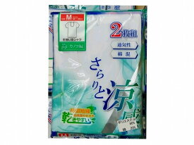 【送料無料】2枚組カノコ編み　半袖U首シャツ　綿80％・ポリエステル20％　紳士用　M・L・LL　風通しの良い　お洗濯のミカタ