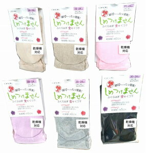 @Ή ȍ fB[X \bNX (RxX)J[6F 85%/iC/|E^ 20`24cm RxX {yX ߂܂fɂ₳ ͂₷ 