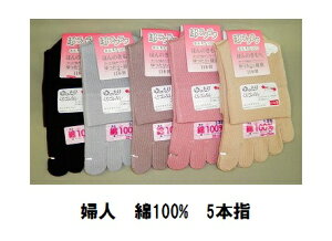 yzwl ܖ{w SȂ 100% \bNXNN 22`25cm ƕt Y@ȌS 5{w\bNX {uC̒vޗǌL˒ SȂC100%AC