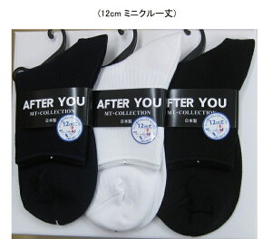 yzXN[~j\bNXEE nԂ12cm TCY23`25cmXN[p X|[c J[ V[g \bNX C  ubN  lCr[ LȂ WT|[^[S 