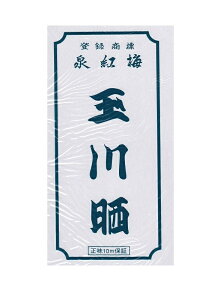 ZZ@ʐ N@N@@10mۏؓ{@100Ȃ 炵 1