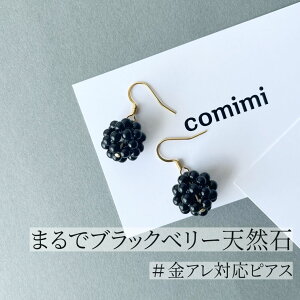  IjLX VR sAX XeX h  ubN  AM[Ή LO AM[ l fB[X    킢 lC JWA i 30 4