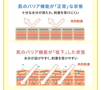 低刺激の洗顔石鹸と大容量高保湿オールインワンゲルで全身ケア