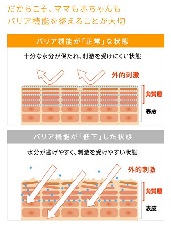 オールインワンゲルとソープで素肌美を実現