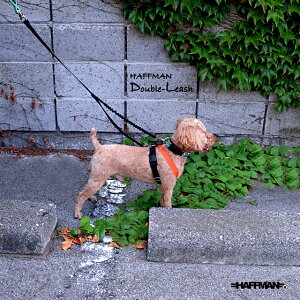 ̏d15-30kgp _u[hSȃ[hiVbNXpbhtj_u[hWCg[h  Oh~ _uiXJ _un[lX EȂ 2  2C ւƃn[lXȂ