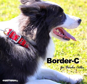 {[_[R[pց@Border-C obNցixg^Cv@_usj 25mm ^    iCi^pj qD dbԍ ^ 