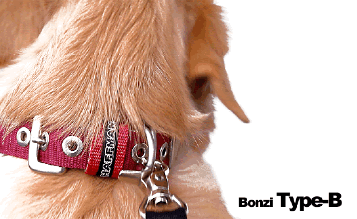 楽天市場 犬 首輪 金属バックル首輪 ベルトタイプ Type B 25mm幅 犬の体重 30kgまで犬 首輪 大型犬 日本製 犬の首輪 犬用首輪 クッション付 電話番号 名入れ 犬の首輪堂ハフマン