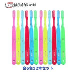 og[ uV 244 X[p[RpNgTCY Eg\tg 1_[X PAp xdx̕