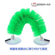 自助ブラシ 軽い力で片手でも入れ歯のお手入れができる