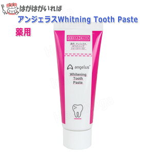 AWFX @zCgjO gD[Xy[Xg 40g p ŃzCgjO