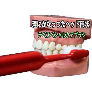 ey Tepe XyXVPAuV M[ERpNg ȗ\hiXEF[f