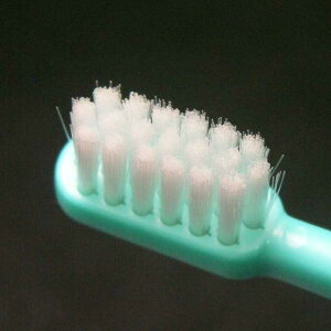 CI fgGbNuV 541 ̃PAɌoSPAuV