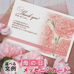 ̓ bZ[WJ[h 1@ʁ@n@͂TCY@Iׂᕶ@HAM-01