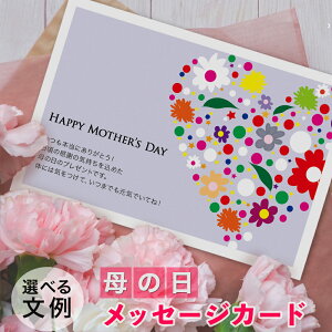 ̓ bZ[WJ[h 1@ʁ@n@͂TCY@Iׂᕶ@HAM-04