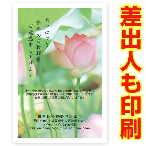 yol 30z r͂Ert ZMSF-02 r@nKL@@