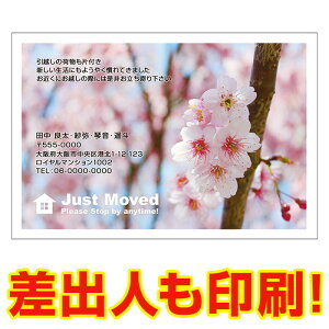 yol ͂ 30z z񍐁E]m点͂ MSF-04 z͂  A