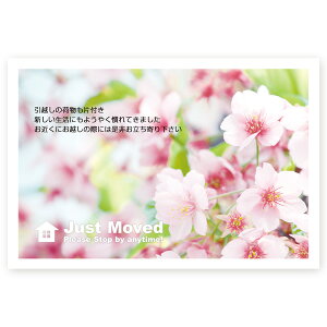 y͂ 10zz񍐁E]m点͂@MSF-06 z͂  A