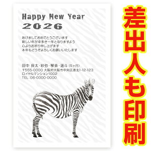 ol N 2026N ߔN ܔN nN@NʂtN͂@30@ns009