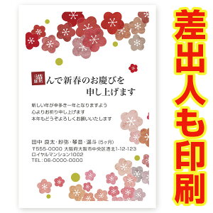 ol N 2026N ߔN ܔN nN@NʂtN͂@30@ns054