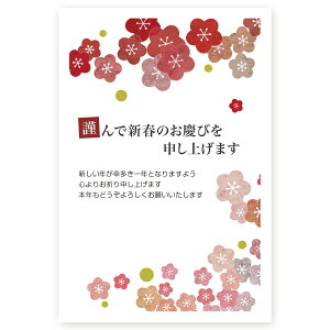 N 2026N ߔN ܔN nN@N͂@5@ne101