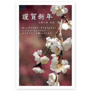 N 2026N ߔN ܔN nN@N͂@10@ne105