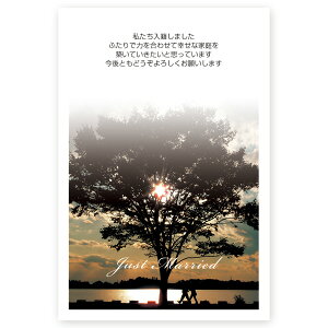 y͂ 10zЕ񍐁Em点͂@NMSF-05@Ё@t@nKL@ʐ^Ȃ