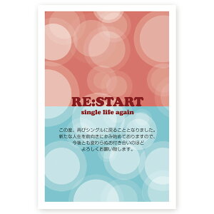 y͂ 10z񍐂͂@SMS-013@@m点@z@