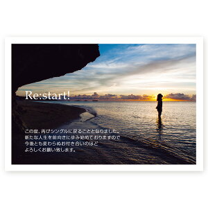 y͂ 10z񍐂͂@SMSF-01@@m点@z@