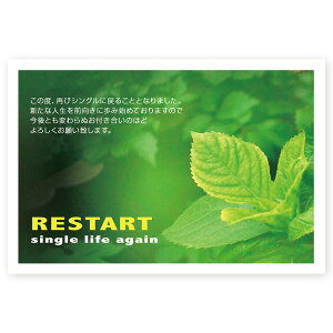 y͂ 10z񍐂͂@SMSF-09@@m点@z@