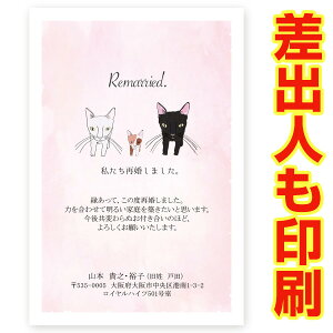 yol ͂ 30z č񍐂͂Em点 @SAI-20@č@t@nKL@ʐ^Ȃ