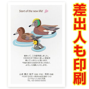 yol ͂ 30z č񍐂͂Em点 @SAI-28@č@t@nKL@ʐ^Ȃ