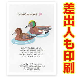 yol ͂ 30z č񍐂͂Em点 @SAI-29@č@t@nKL@ʐ^Ȃ