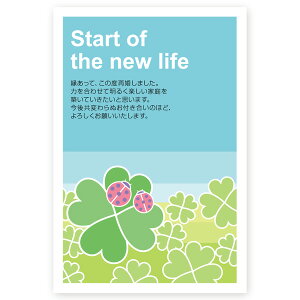 【官製はがき 10枚】再婚報告はがき・再婚お知らせ SAI-11 再婚 葉書 ハガキ 写真なし