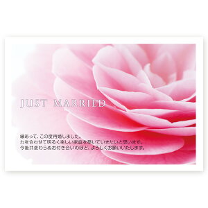 y͂ 10zč񍐂͂Ečm点@SAIF-01@č@t@nKL@ʐ^Ȃ