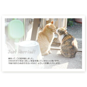 y͂ 10zč񍐂͂Ečm点@SAIF-04@č@t@nKL@ʐ^Ȃ