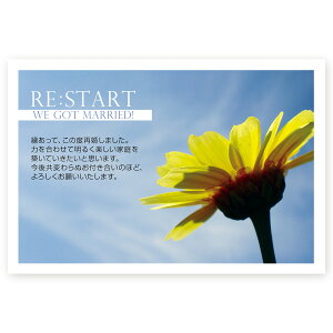 y͂ 10zč񍐂͂Ečm点@SAIF-08@č@t@nKL@ʐ^Ȃ