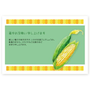 y͂ 10z͂@SS-120 ā@A@ nKL ͂