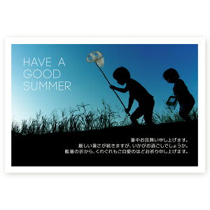 y͂ 10z͂@SSF-02 ā@A@ nKL ͂