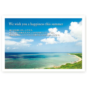 y͂ 10z͂@SSF-04 ā@A@ nKL ͂