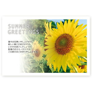 y͂ 10z͂@SSF-09 ā@A@ nKL ͂