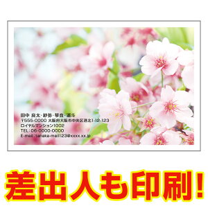 yol 30z ړIG͂ MUSF-05 |XgJ[h@iʐ^͂