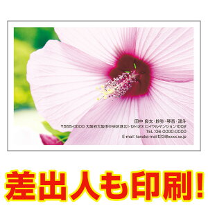 yol ͂ 30z ړIG͂ MUSF-08 |XgJ[h@iʐ^͂