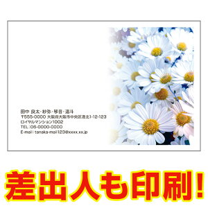 yol 30z ړIG͂ MUSF-45 |XgJ[h@iʐ^͂