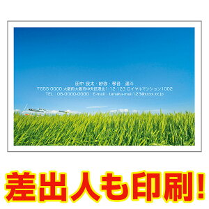 yol 30z ړIG͂ MUSF-48 |XgJ[h@iʐ^͂