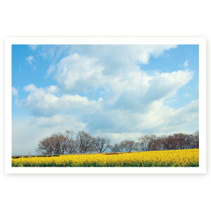 y͂ 10zړIG͂@MUSF-16@|XgJ[h@iʐ^͂