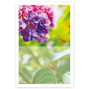 【私製はがき 5枚】多目的絵はがき MUSF-18 ポストカード 風景写真はがき