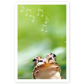 【私製はがき 10枚】多目的絵はがき　MUSF-28　ポストカード　風景写真はがき