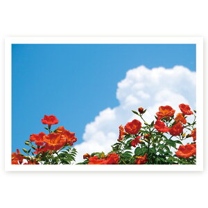 【官製はがき 10枚】多目的絵はがき MUSF-37 ポストカード 風景写真はがき