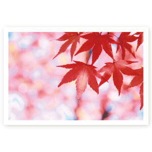 【私製はがき 10枚】多目的絵はがき MUSF-42 ポストカード 風景写真はがき